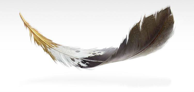 Photo credit: Dylan Pierpont